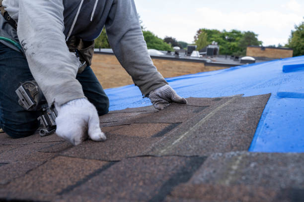 Best Solar Panel Roofing Installation  in Greenbrier, TN