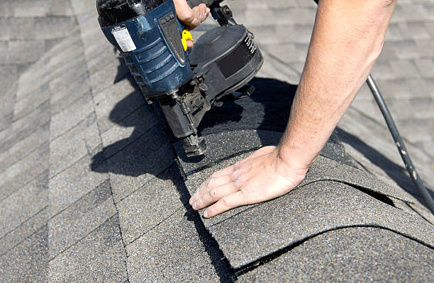 Best Roof Maintenance and Cleaning  in Greenbrier, TN